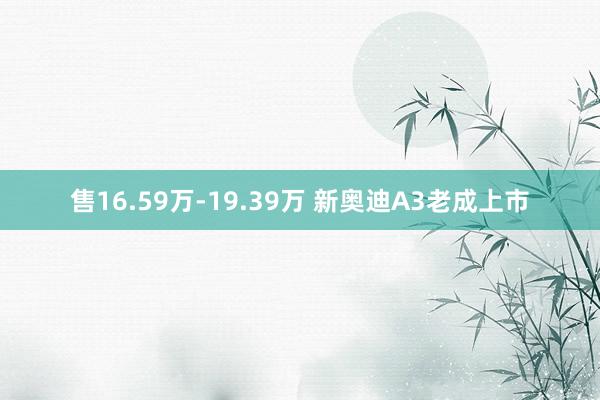 售16.59万-19.39万 新奥迪A3老成上市