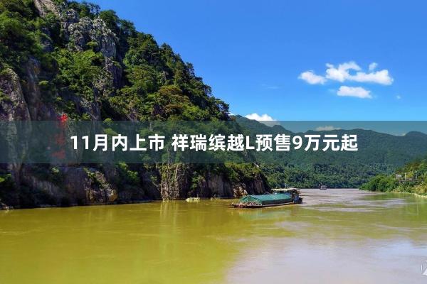 11月内上市 祥瑞缤越L预售9万元起